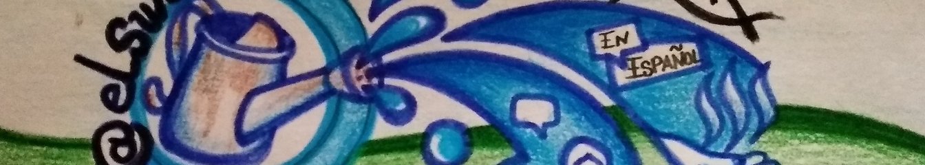 elsurtidor's cover