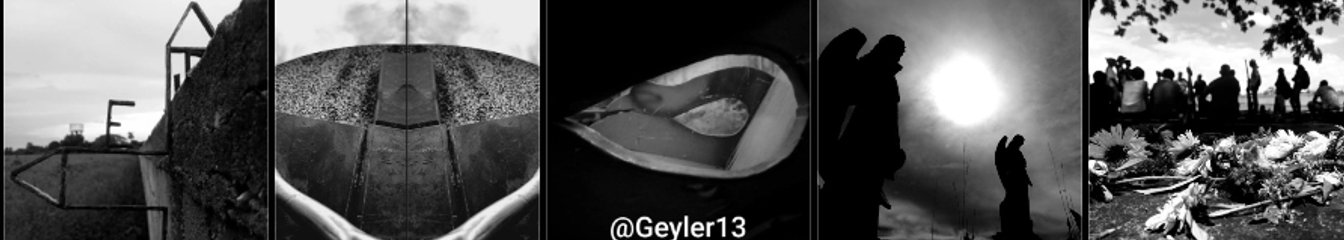 geyler13's cover