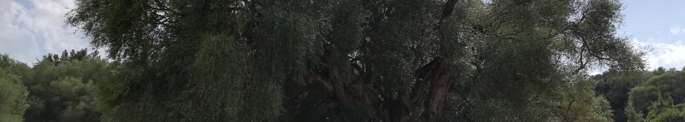 giovi86's cover