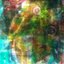 globotree
