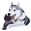hivepets