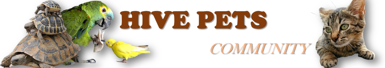 hivepets's cover