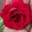 humbe