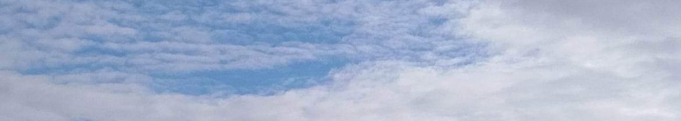 huntersmoon's cover