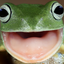 ironshield.pepe
