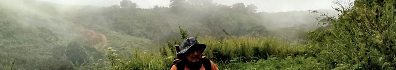 jolusequera's cover
