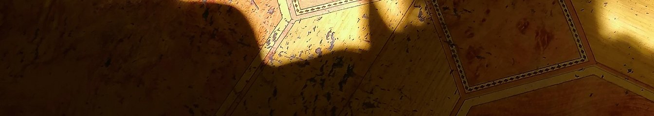 joycebuzz's cover