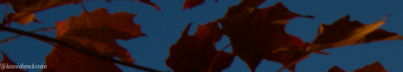lanniebrockstein's cover