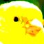 legendarycanary