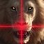 lionhunter