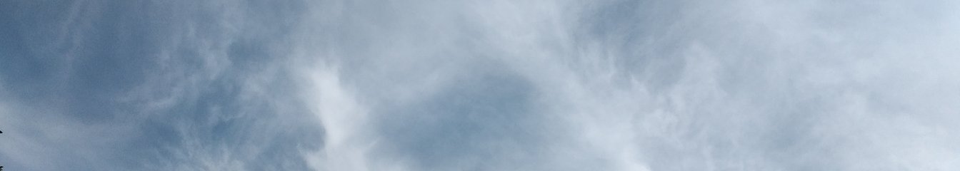 lizizoo's cover