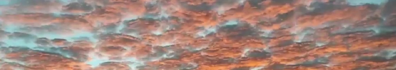 lunaturqueza's cover