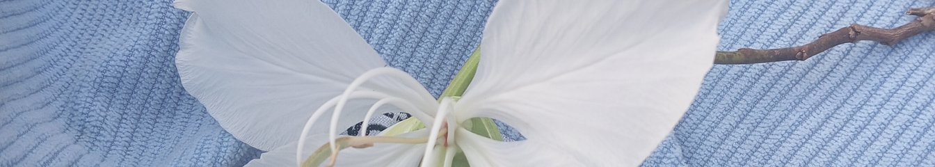 m00n-02's cover
