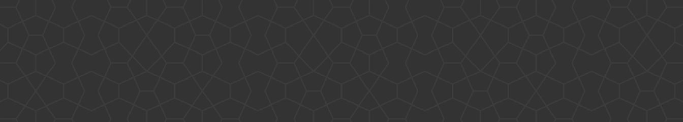 magicmonk's cover