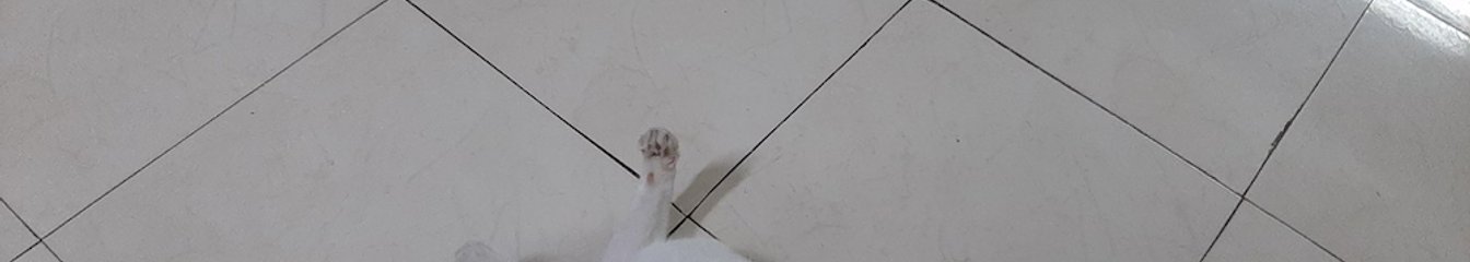 mintymile's cover