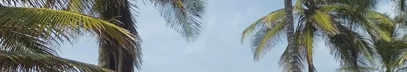 monicalandaeta's cover