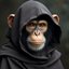 monkmasters