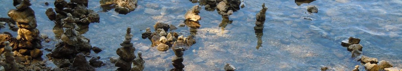 music-nature's cover