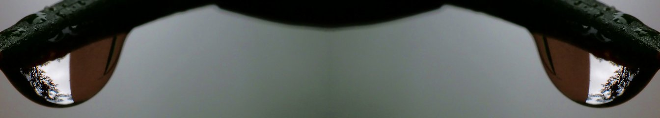 onealfa.leo's cover