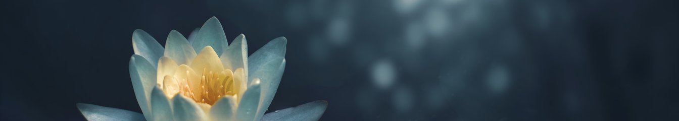 peacefulsoul's cover