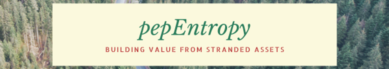 pepentropy's cover
