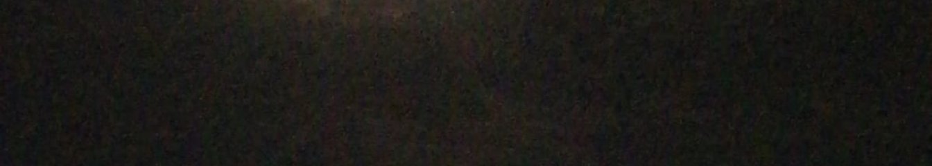 poppyrvila's cover