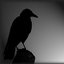 ravenxbr