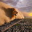 roarcoin
