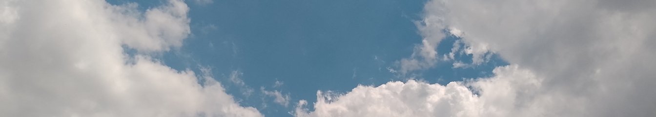 samueldiaz's cover