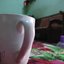 shafimir77