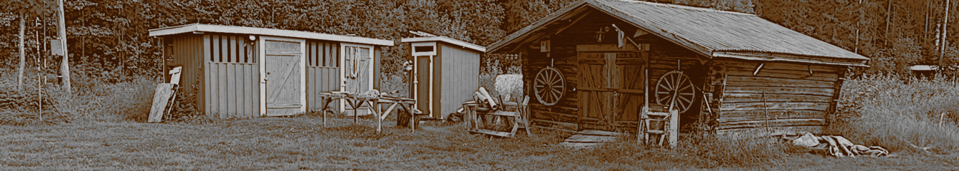 shedland's cover