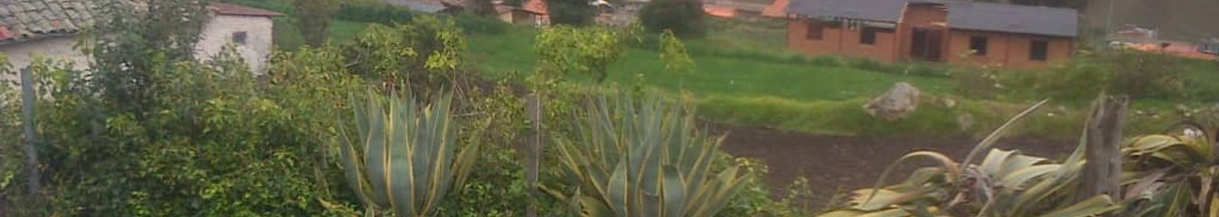 siondaba's cover