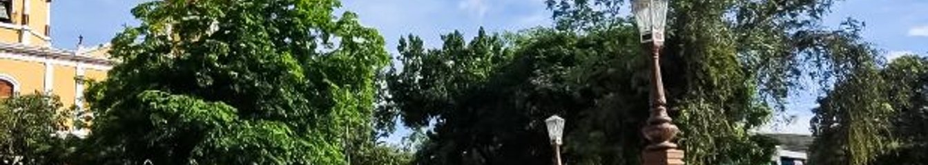 solorzanot's cover