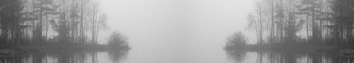 stafhalr's cover