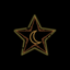 starryj