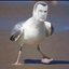 stevenseagull