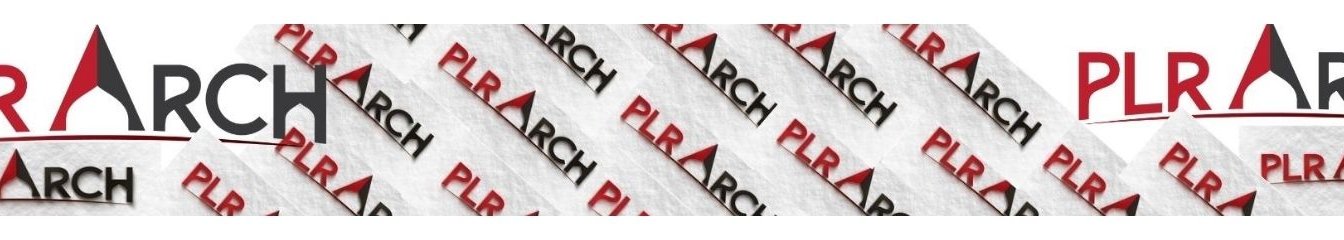 successchar's cover