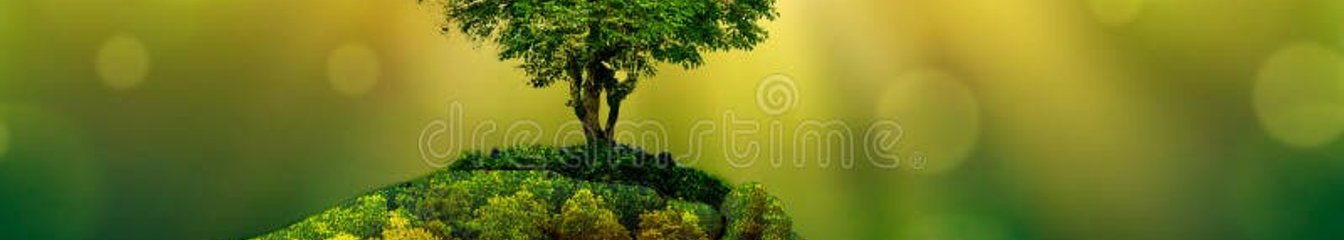 suraiyaaktar's cover