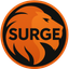 surge.oracle