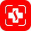 swisswitness