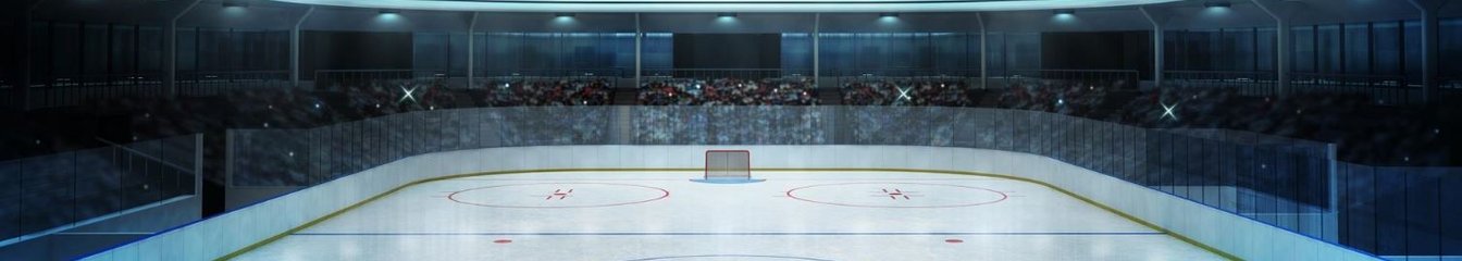thehockeyfan-at's cover