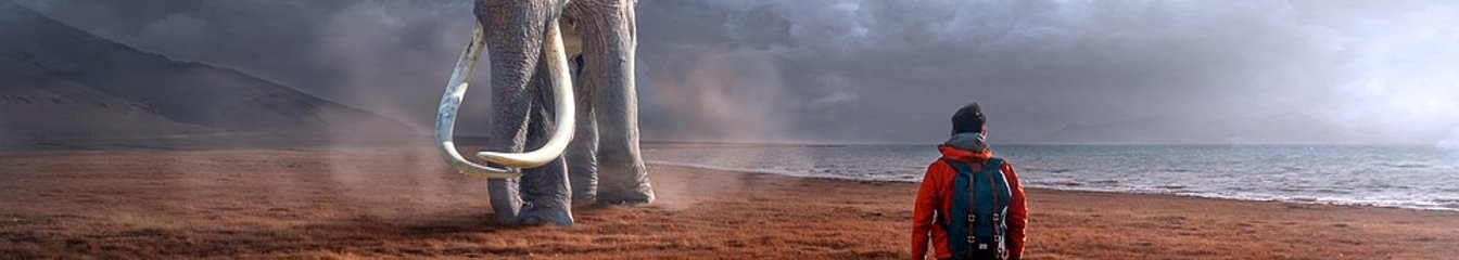 thisisawesome's cover