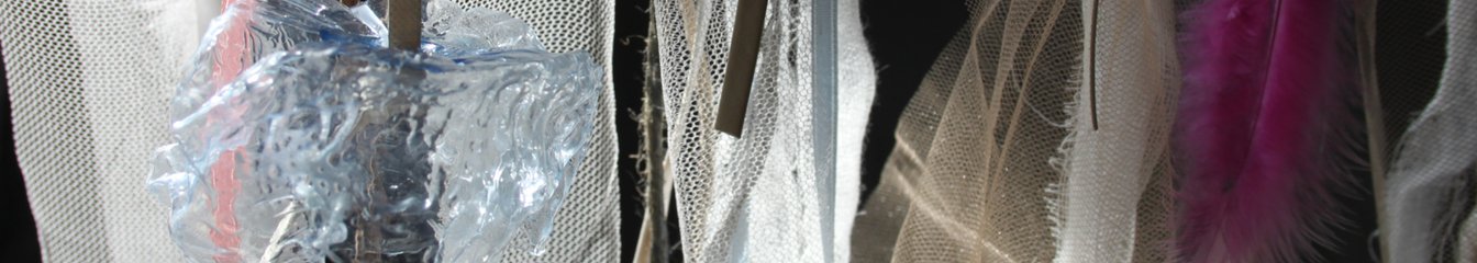 titti's cover