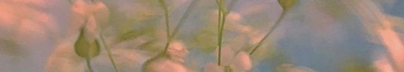 usergabs's cover