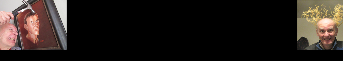 vcelier's cover