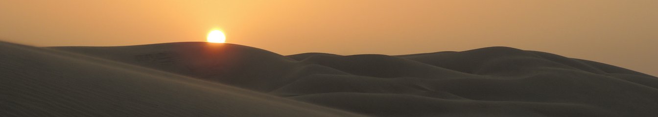 visualshots's cover