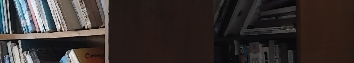 vivediary's cover