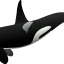 willythewhale