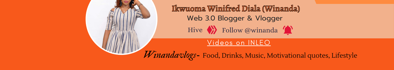 winandavlogs's cover