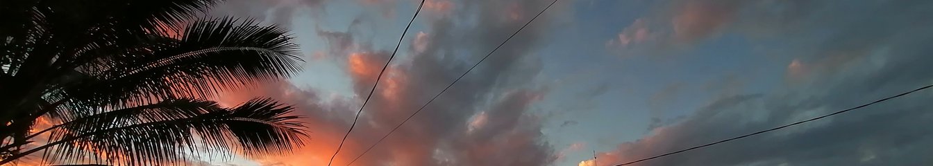 yoieuqudniram's cover